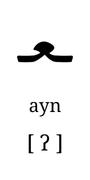 ayn