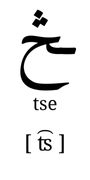 tse