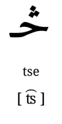 tse