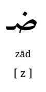 zaad