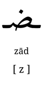 zaad